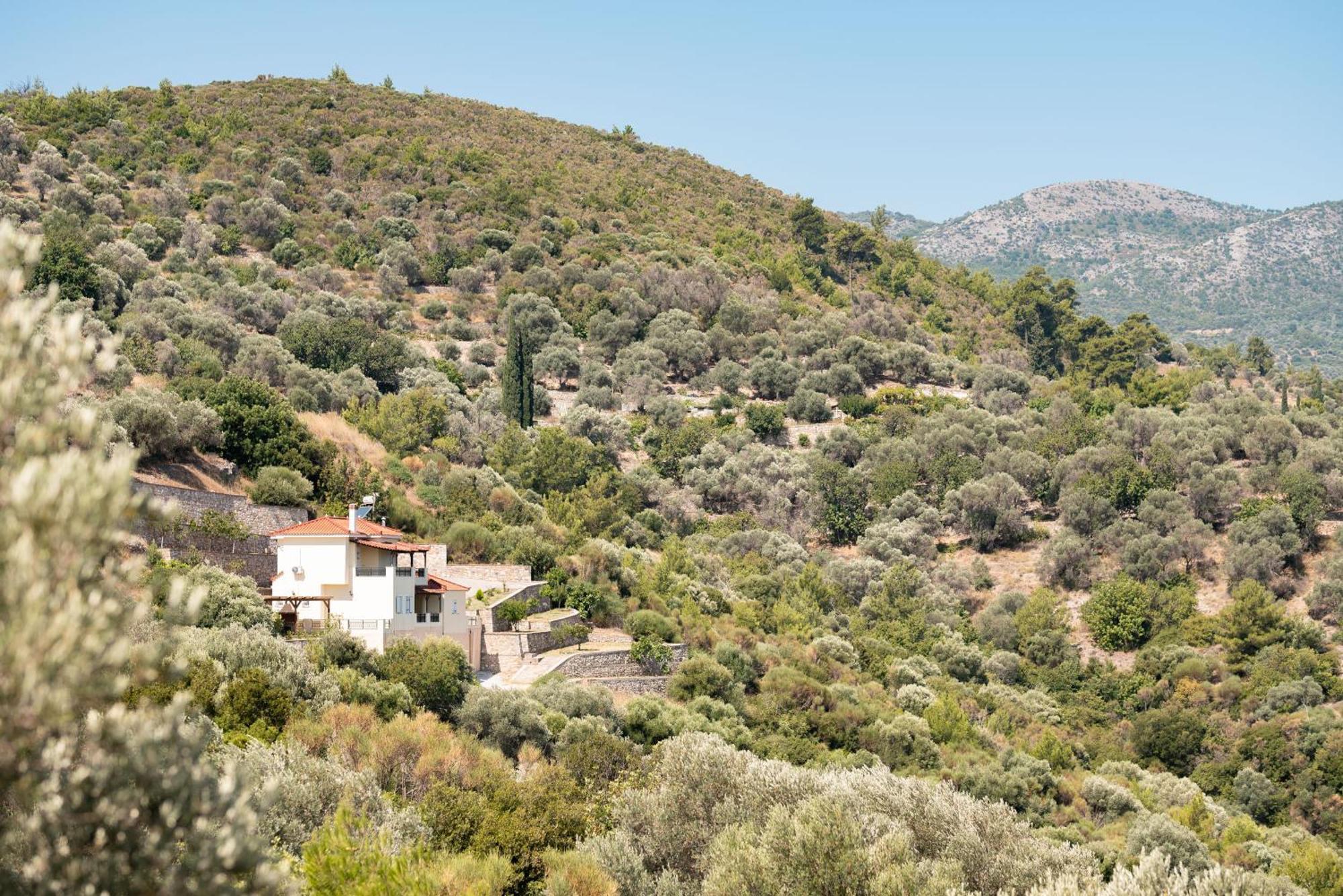 Villa Vicky Pythagoreio  Exterior photo